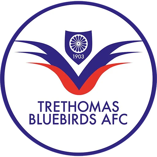 Trethomas Bluebirds