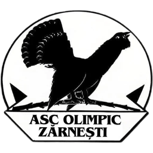 Olimpic Zărnești