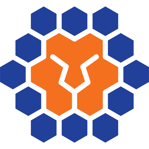 Queensland Lions