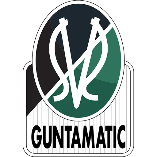 SV Ried