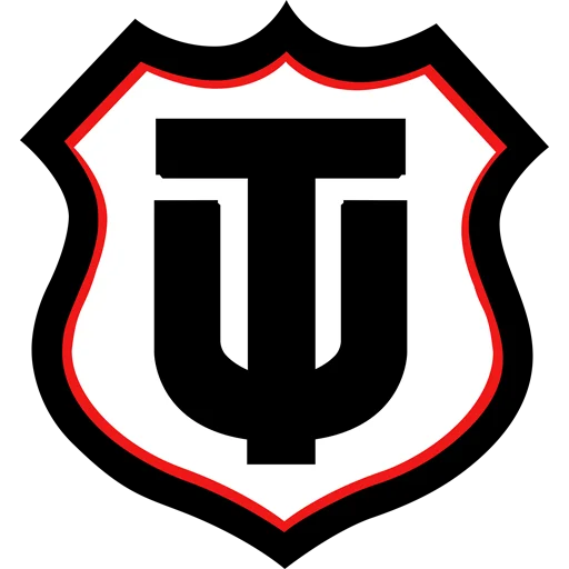 Técnico Universitario