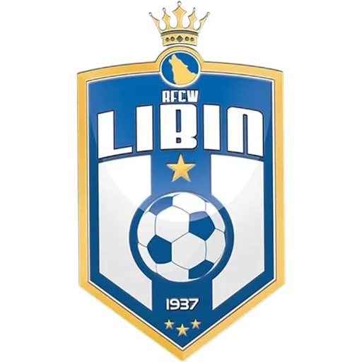 Wallonia Libin