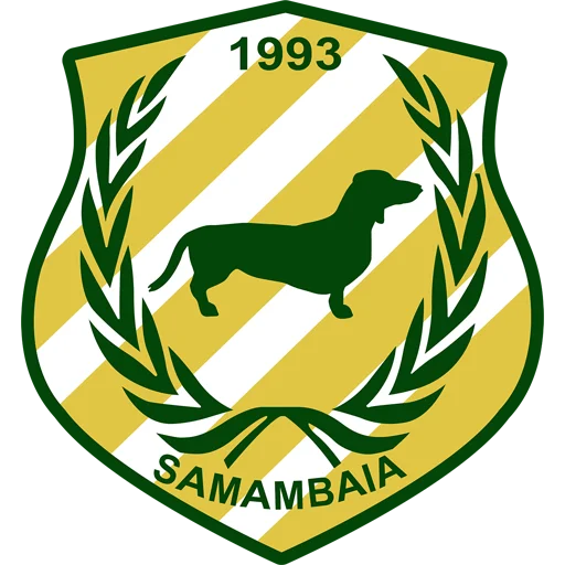 Samambaia
