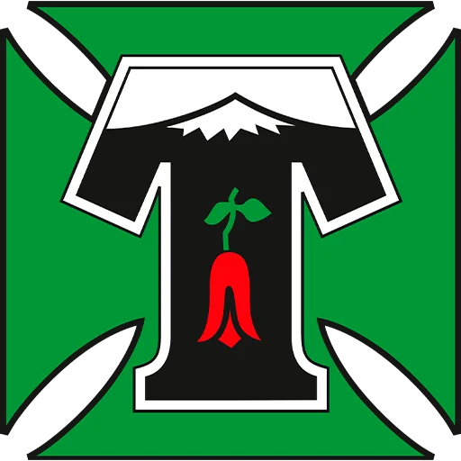 Deportes Temuco
