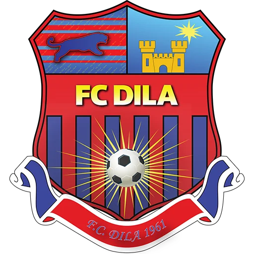 Dila Gori