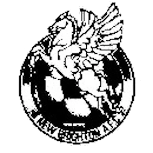 New Brighton AFC