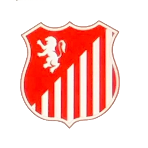 Rotherham Town FC