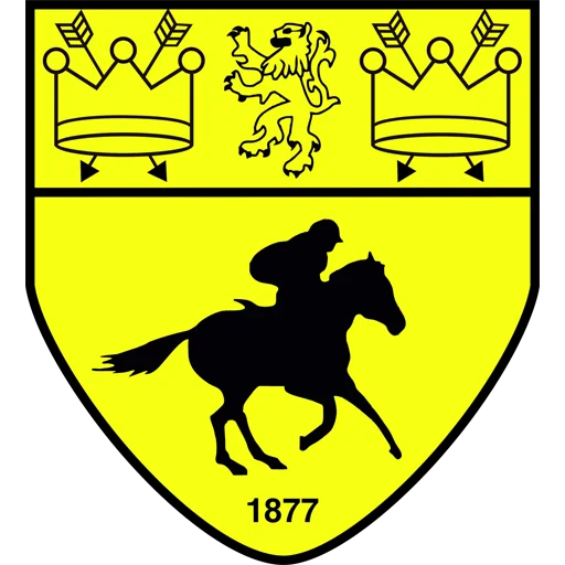 Newmarket Town
