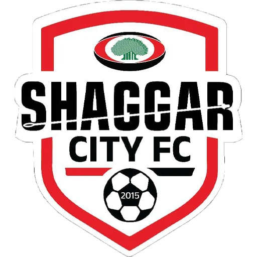 Shaggar City