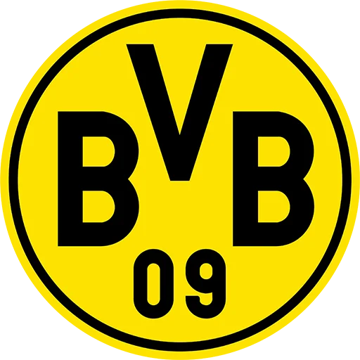 Borussia Dortmund Youth