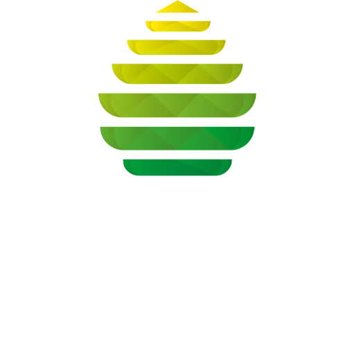 SAG Cestas