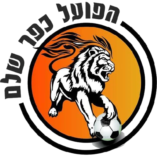Hapoel Kfar Shalem