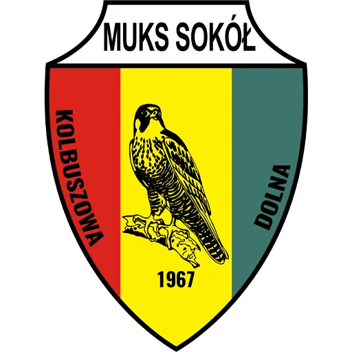 Sokół Kolbuszowa Dolna